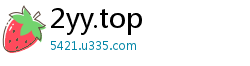 2yy.top